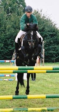 Sassan am Sprung